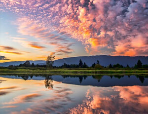 葡萄牙队未能战胜比利时,失去晋级欧洲杯四强机会