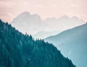 上海上港主场告捷,稳守积分榜头名地位