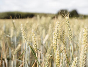 巴黎FC不敌波尔多,出现令人意外失利